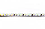 Світлодіодна Led-стрічка SMD 3528 на 120 діодів в 1 метрі, 9,6 Вт/1м, білий теплий колір, не герметична, фото 2