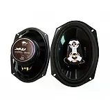 Динаміки для авто BOSCHMANN BM Audio XW-934FR 400W 3х смуг. 6х9, фото 5