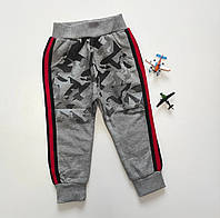 Спортивні штани для хлопчика Спортивні штани на флісі для хлопчика. Дитячі спортивні штани.