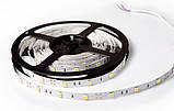 Світлодіодна Led-стрічка SMD 5050 на 30 діодів в 1 метрі, 7,2 Вт/1м, червоний колір, не герметична, фото 4