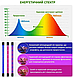 Світлодіодна ультрафіолетова Led-лампа для рослин із таймером. Фітолампа Ультрафіолетове світло GreenLand 50w, фото 8