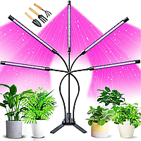 Светодиодная ультрафиолетовая led лампа для растений с таймером. Фитолампа Ультрафиолетовый свет GreenLand 50w