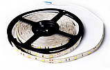 Світлодіодна Led-стрічка SMD 5050 на 30 діодів в 1 метрі, 7,2 Вт/1м, червоний колір, герметична, фото 4