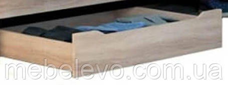 Ящик ліжка Аякс викатний 200х1000х596мм   Майстер Форм, фото 2