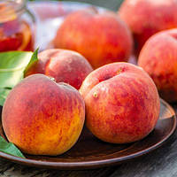 Персик Авалон Прайд