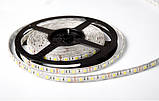 Світлодіодна Led-стрічка SMD 5050 на 60 діодів в 1 метрі, 14,4 Вт/1м, жовтий колір, герметична, фото 4
