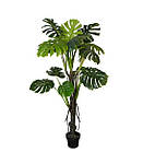 Штучна рослина Engard Monstera 165см (DW-22)