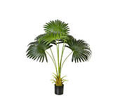 Штучна рослина Engard Fan Palm 95см (DW-26)