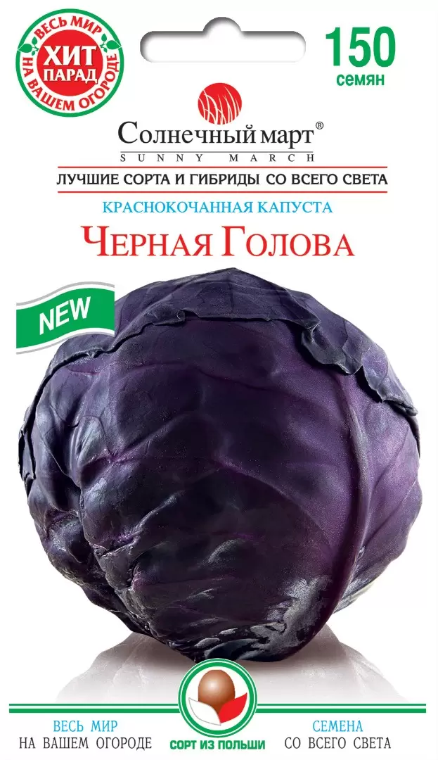 Насіння капусти червоноголова Чорна голова,150шт