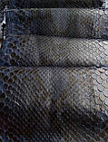Шкіра пітона, синя, 3,1 м., фото 4