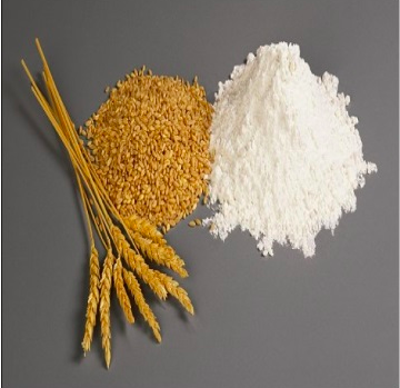 Пшенична клейковина, глютен промисловий, харчовий, виробник Чехія, Amilon, 25 кг