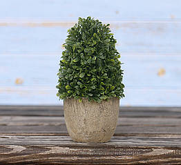 Самшит-конус штучний у горщику зелений полістоун h14см 3331200-1 конус