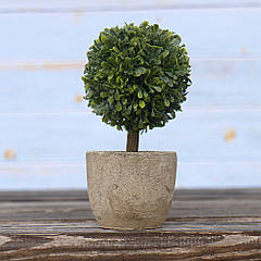 Самшит куля штучна в горщику зелений полістоун h14см 3331200-2 шар