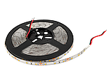 Світлодіодна стрічка 2835-60led-8mm-12V 4,8W/m IP65 тепло білий OEM, фото 3