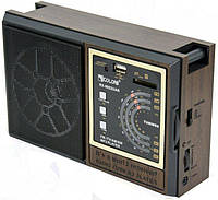 Радиоприемник аккумуляторный Golon RX-9922 с MP3 плеером , GN1, MicroSD , Хорошее качество, USB , FM радио,