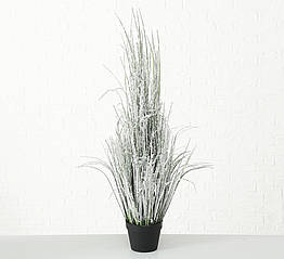 Декоративна рослина (трава) в горщику h116см 1015610