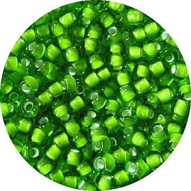 Чеський бісер 55436 10/0 50г