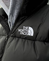 Зимовий пуховик tnf 700, Куртка зе Норт фейс чоловіча, Парка The North Face S