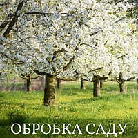 Обробка саду - садовий вар, віск для дерев, побілка