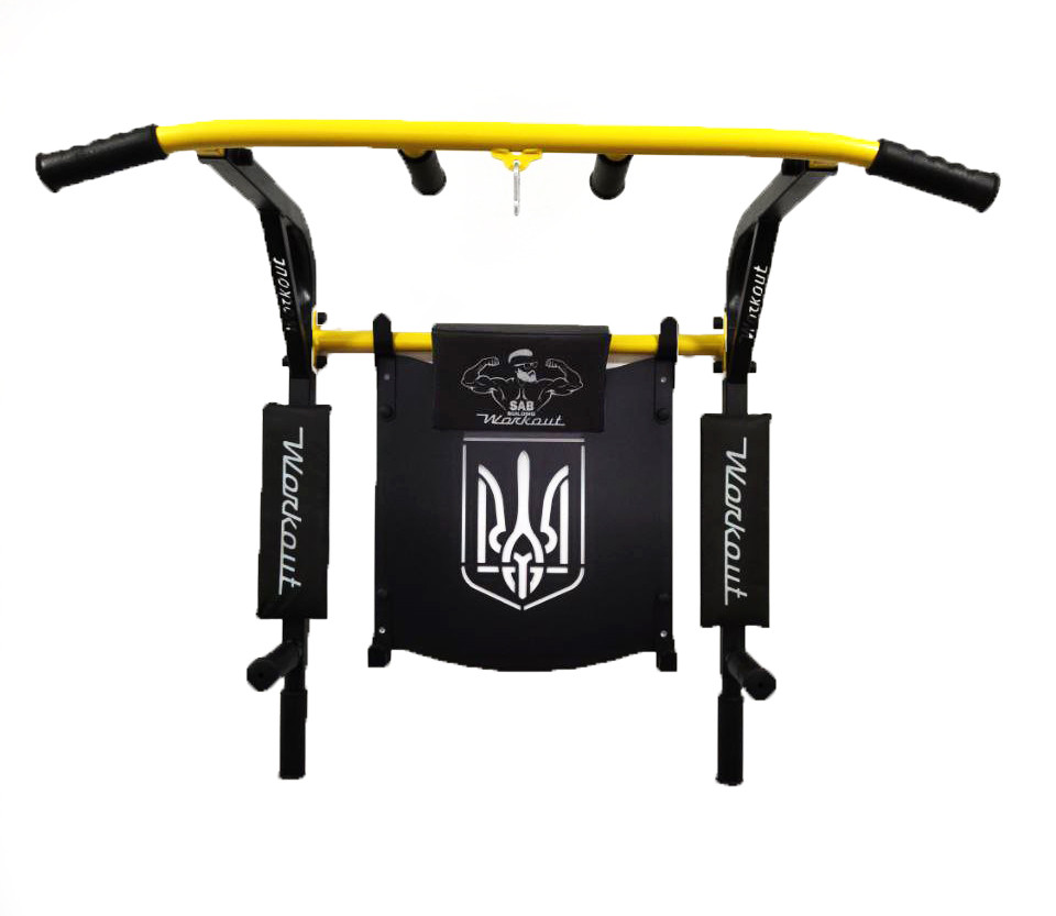 Турнік з адаптивною спинкою (до 200 кг*) 3 в 1 Workout домашній настінний (на стіну) з рамкою
