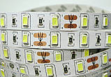 Світлодіодна Led-стрічка SMD 5630 на 60 діодів в 1 метрі, 14,4 Вт/1м, білий нейтральний колір, не герметична, фото 2