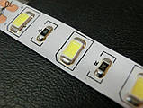 Світлодіодна Led-стрічка SMD 5630 на 60 діодів в 1 метрі, 14,4 Вт/1м, білий нейтральний колір, не герметична, фото 3