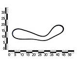 Ремінь генератора ГАЗель дв. ЗМЗ 402 зубчастий (10 х 8 -1025), фото 2