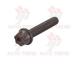 Болт кришки клапанної DAEWOO, CHEVROLET CRUZE, LACETTI, NUBIRA, TACUMA 1.6; 1.8