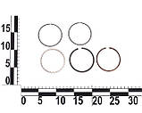 Кільце поршневе ВАЗ 21011 (79,4) (набірні) к-т, фото 2
