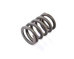 Пружина клапана ВАЗ 2110-12, 1117-19, 2170-72, дв. 16 кл.*