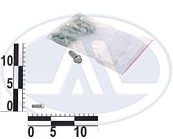 Болт М8х19 кошики зчеплення ВАЗ 2108-099