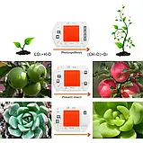 Фітодіод 30 Watt 220 V. повний спектр. Для рослин.LED-фітолампа., фото 4
