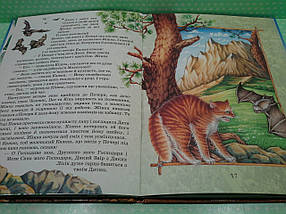 Преса України Кіплінг Кішка що гуляла сама по собі (А4 ТВ), фото 4