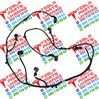 Електропроводка заднього бампера Tesla Model 3