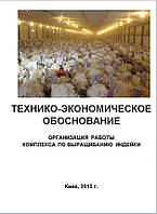 Бизнес план (ТЭО). Индейка. Птицефабрика, ферма. Производство мяса индейки. Интенсивный метод Big-6, BUT-8,9