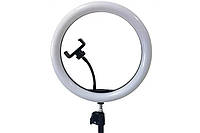 Кольцевая LED лампа SMN-12" (30см) FM227