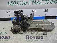 Теплообмінник РВГ (EGR) (2,0 TDI) Skoda OCTAVIA 2 A5 2004-2009 (Шкода Октавия а5), 03G131513J (БУ-255280)