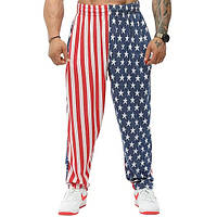 Big Sam, Штаны спортивные Men's Loose Fit American Flag Sweatpants PNT1381-AMERICAN ( S )