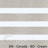 Рулонні штори для вікон Sunny в системі День Ніч, тканина DN-Canada BO, фото 2