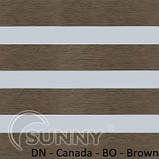 Рулонні штори для вікон Sunny в системі День Ніч, тканина DN-Canada BO, фото 3