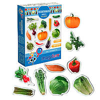 Магнитная игра Magdum для детей Овощи 25 магнитов (ML4031-12 EN)