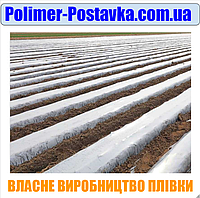 Агроплёнка для мульчирования ПРОЗРАЧНАЯ на 6 мес. ПОЛОТНО 700мм*30мкм*1км