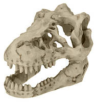 Декорация Aqua Nova, Dinosaur Skull, 8 см. Декорация для всех видов аквариумов без вреда для рыб