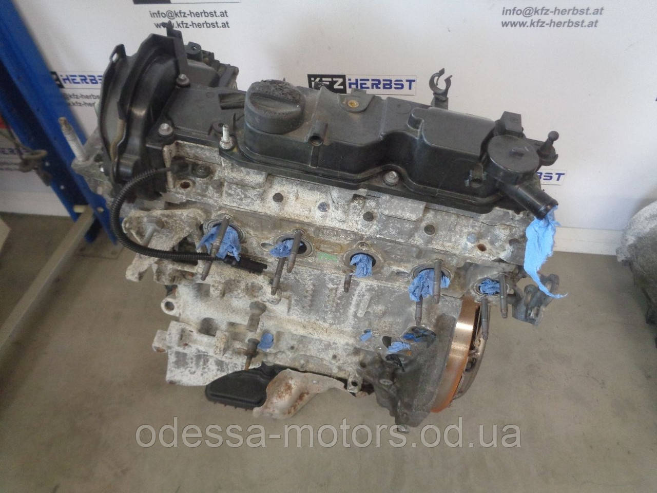 Двигун Ford Transit Connect Box 1.6 TDCi, 2013-today тип мотора TZGA, TZGB, фото 1