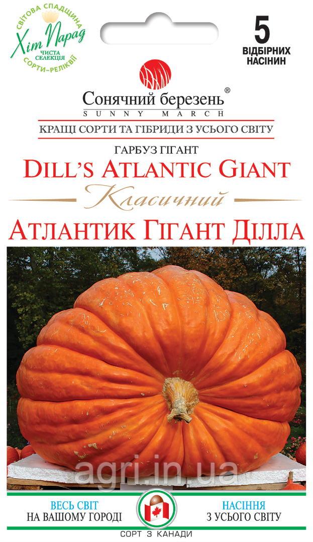 Гарбуз Атлантік Класичний, 5шт