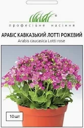 Квіти Арабіс кавказький Лотті рожевий 10 шт.