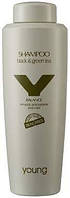 Шампунь кислотный Post Color Young Shampoo Black & Green Tea 300 мл.