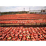 В'ялені помідори в олії Kontas 270 г, фото 2