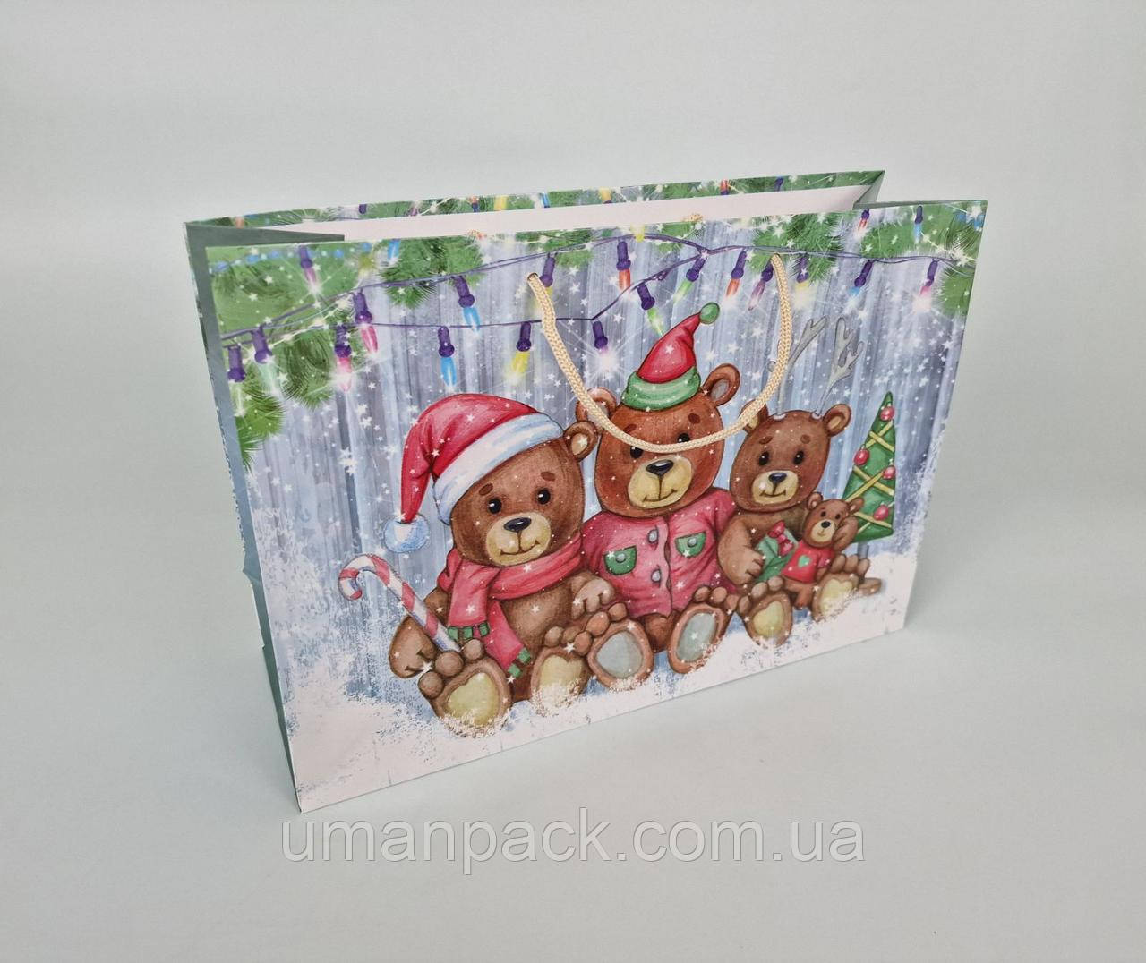 Паперовий Подарунковий Пакет Новорічний горизонтальний 36/22/10 (12 шт.)