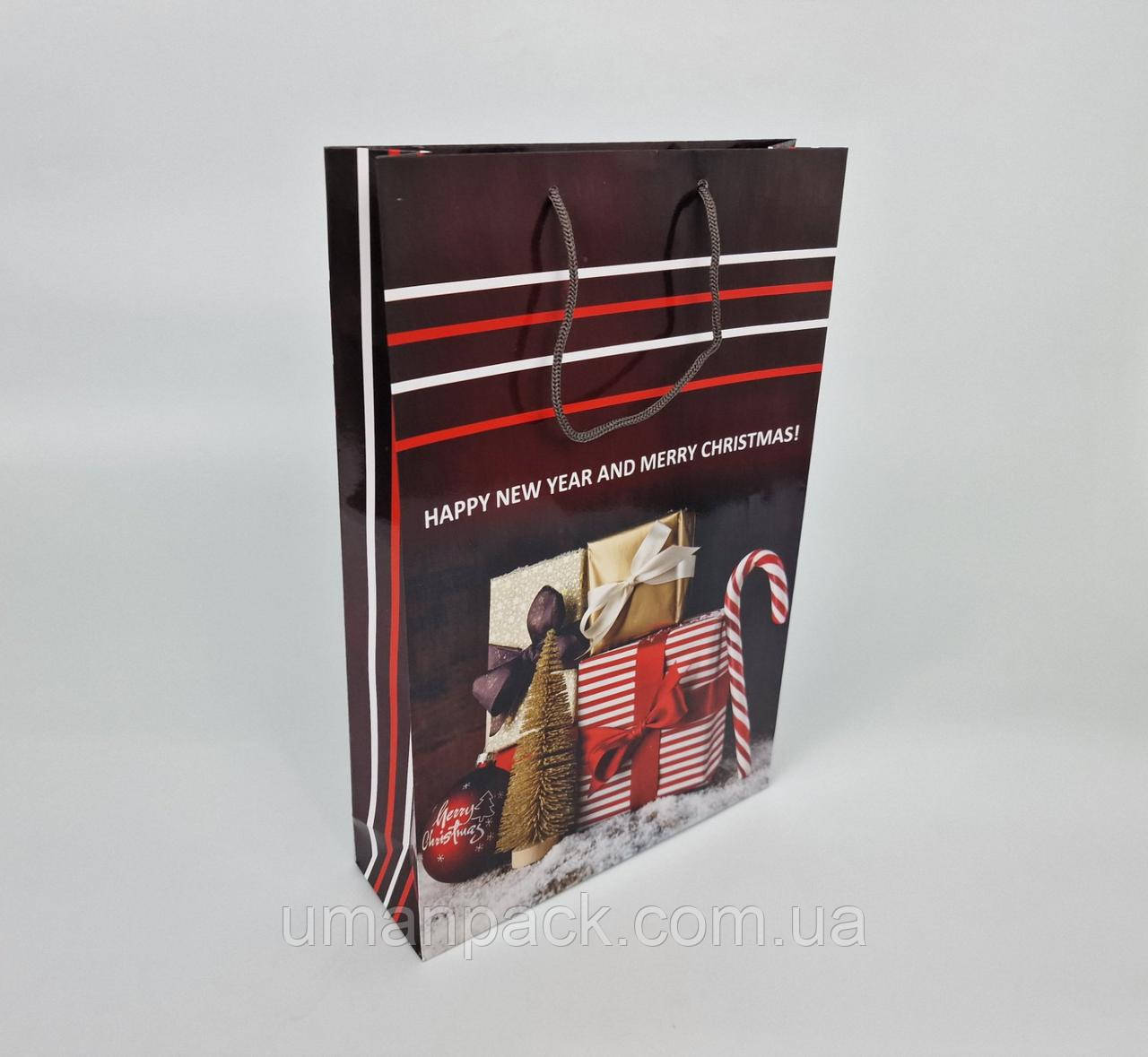 Паперовий Подарунковий Пакет Новорічний вертикальний 25/37/8 (12 шт.)